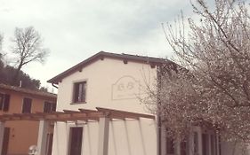 B&B Pane E Rose